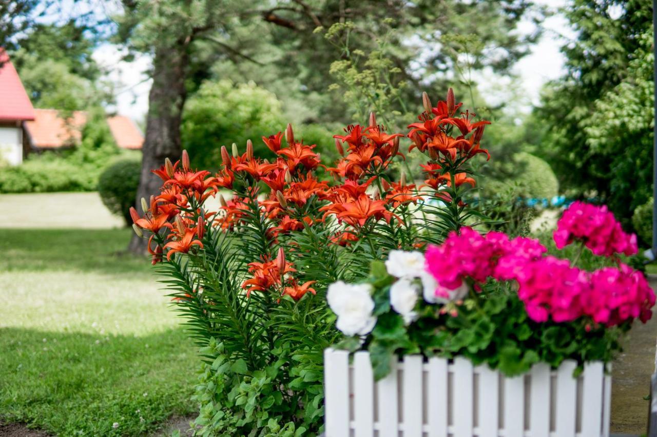 Pensjonat Faryny Buitenkant foto